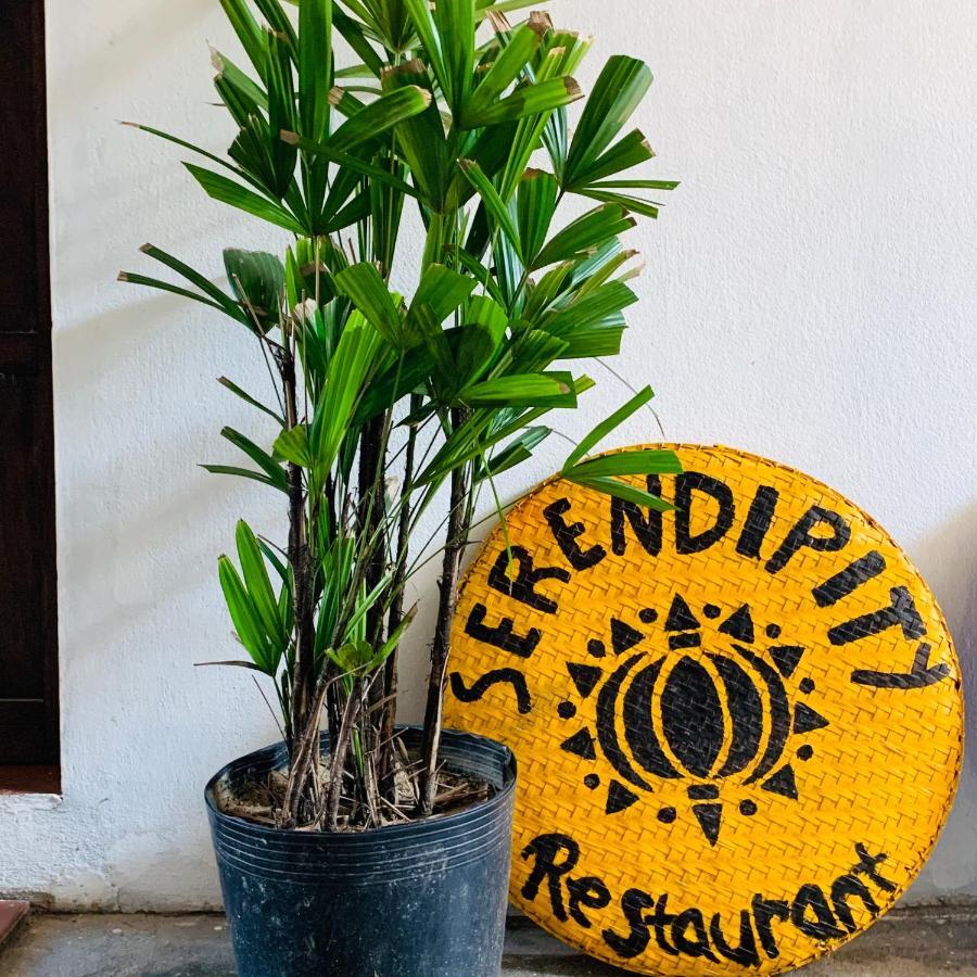 Serendipity Hoi An Hostel Екстериор снимка